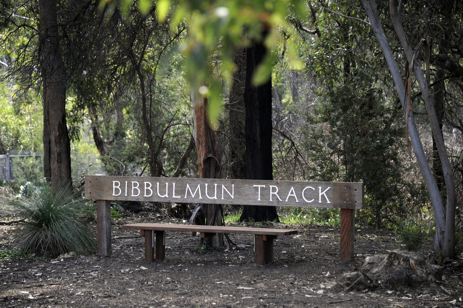 A rest point on the Bibbulmun Track