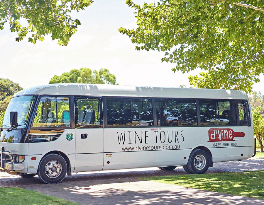 D'vine Wine Tours
