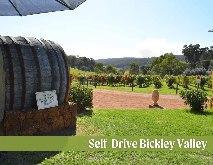 Self-Drive Bickley Valley