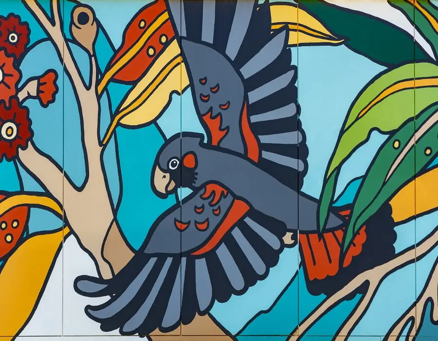 Kalamunda SC Red Tailed Black Cockatoo Mural