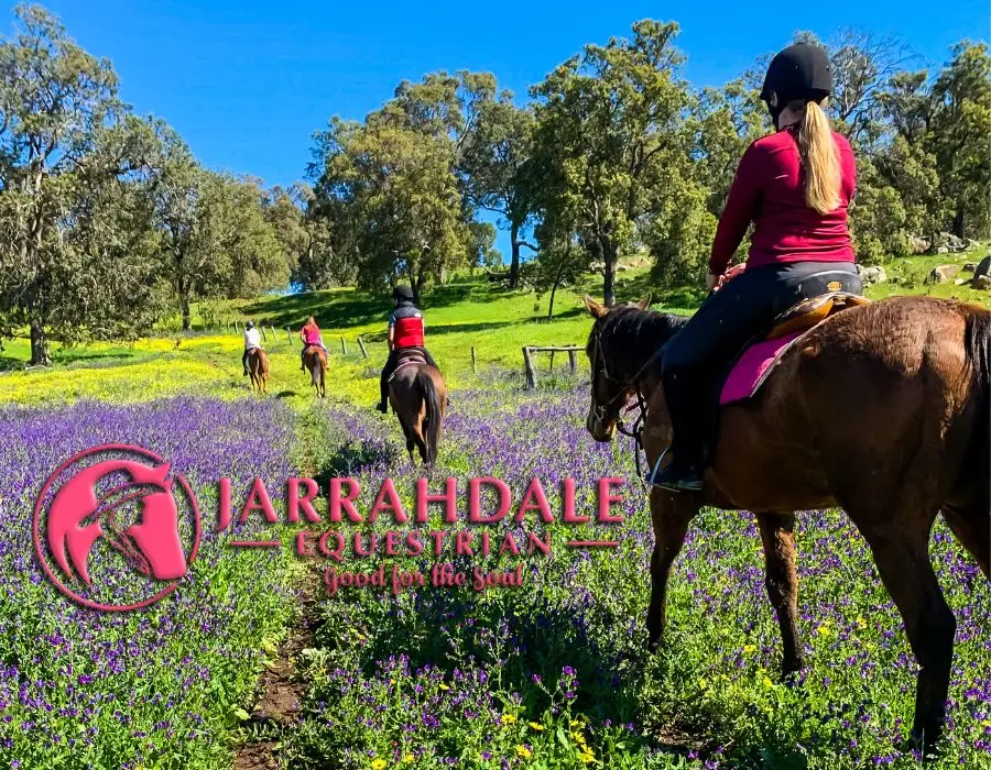 Jarrahdale Equestrian Horse Camp