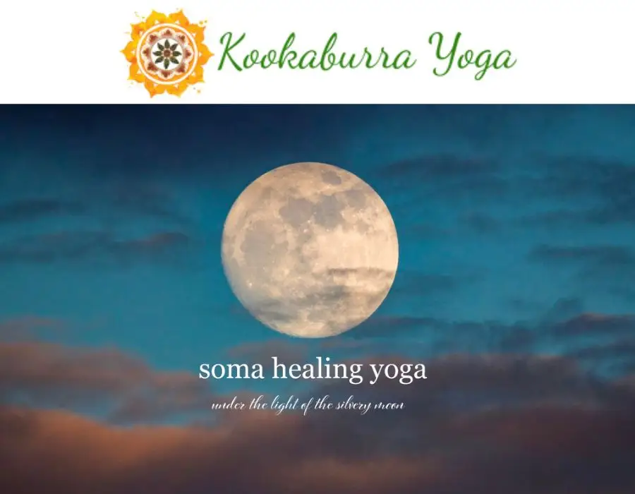 Kookaburra Yoga Soma Healing Yoga