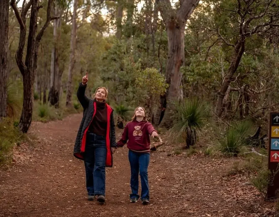 Six Seasons Trails Bungendore Park Honeyeater Guided Walk